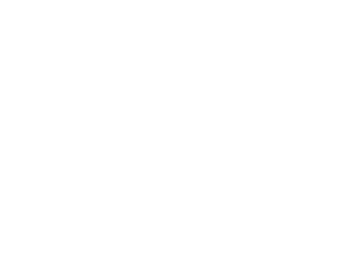 Throwin’ Salt Co.